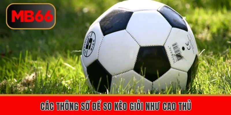 Các tỷ lệ phổ biến nhất được ưa chuộng tại kèo châu Á